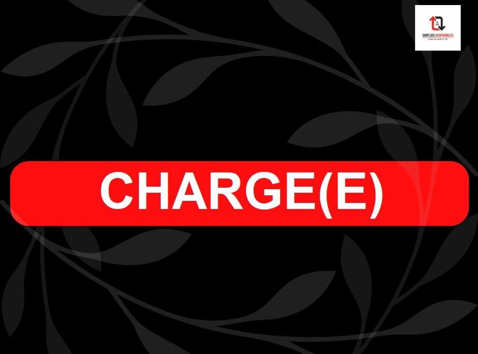 CHARGE (E) DE CLIENTELE