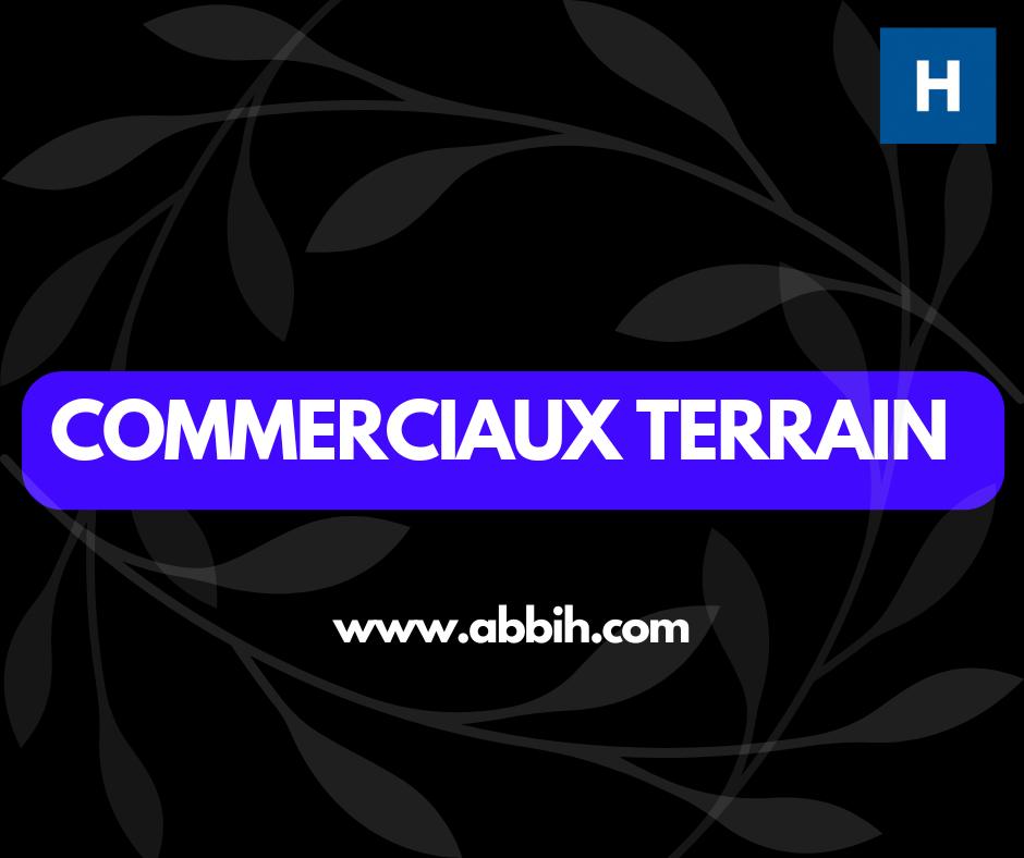 PROMOTEURS / PROMOTRICES FIBRE OPTIQUE MTN