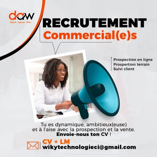 GROUPE WIKY RECRUTE COMMERCIAL (H/F)