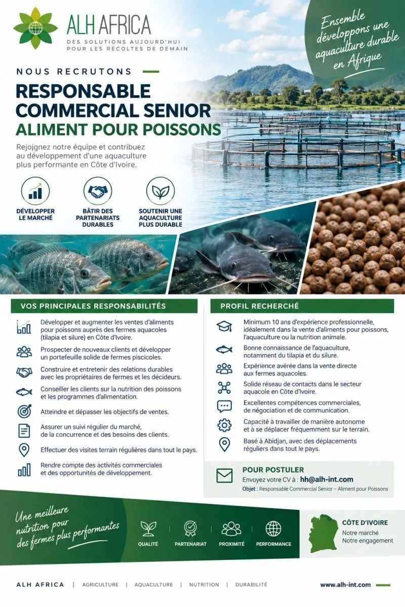 RECRUTEMENT RESPONSABLE COMMERCIAL SENIOR