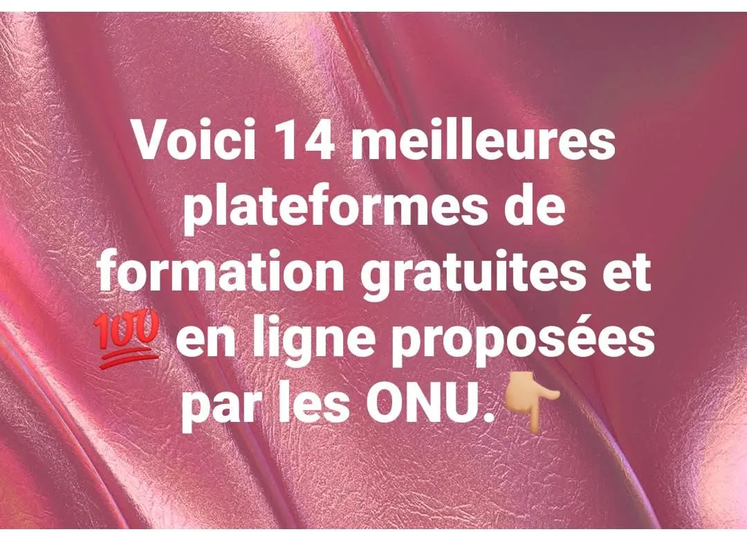 Offre d'emploi FORMATIONS GRATUITES PAR LES AGENCES DES NATIONS UNIES