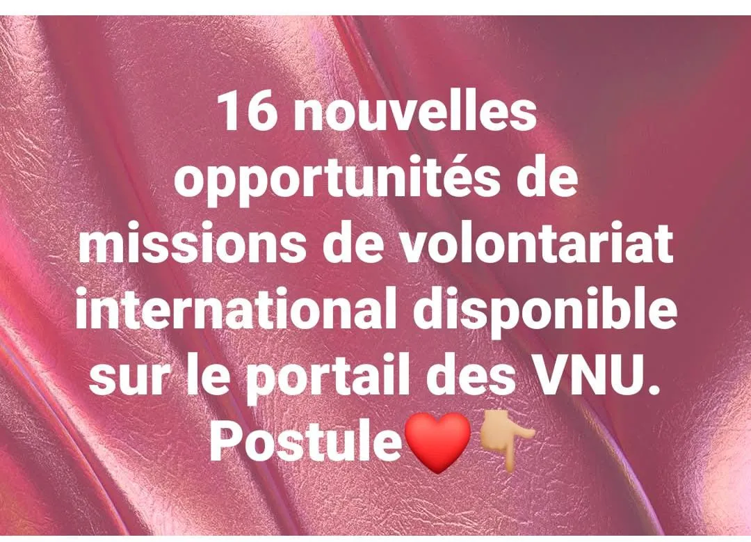 Offre d'emploi OPPORTUNITES DE MISSIONS DE VOLONTARIAT INTERNATIONAL