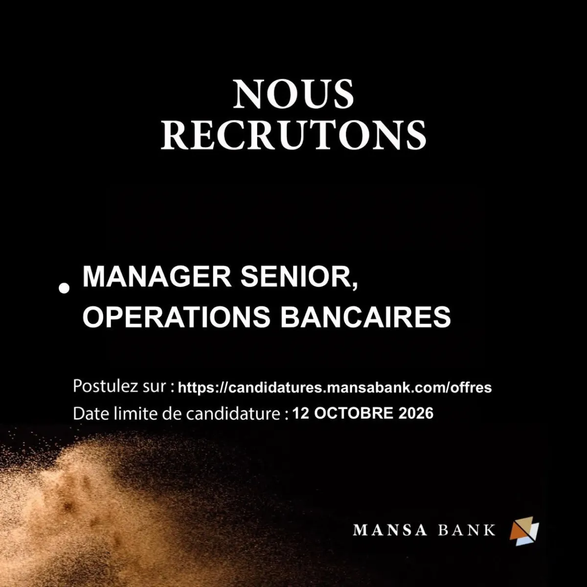 RECRUTEMENT DE MANAGER SERIOR