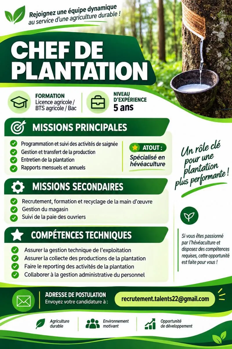 Offre d'emploi RECRUTEMENT CHEF DE PLANTATION