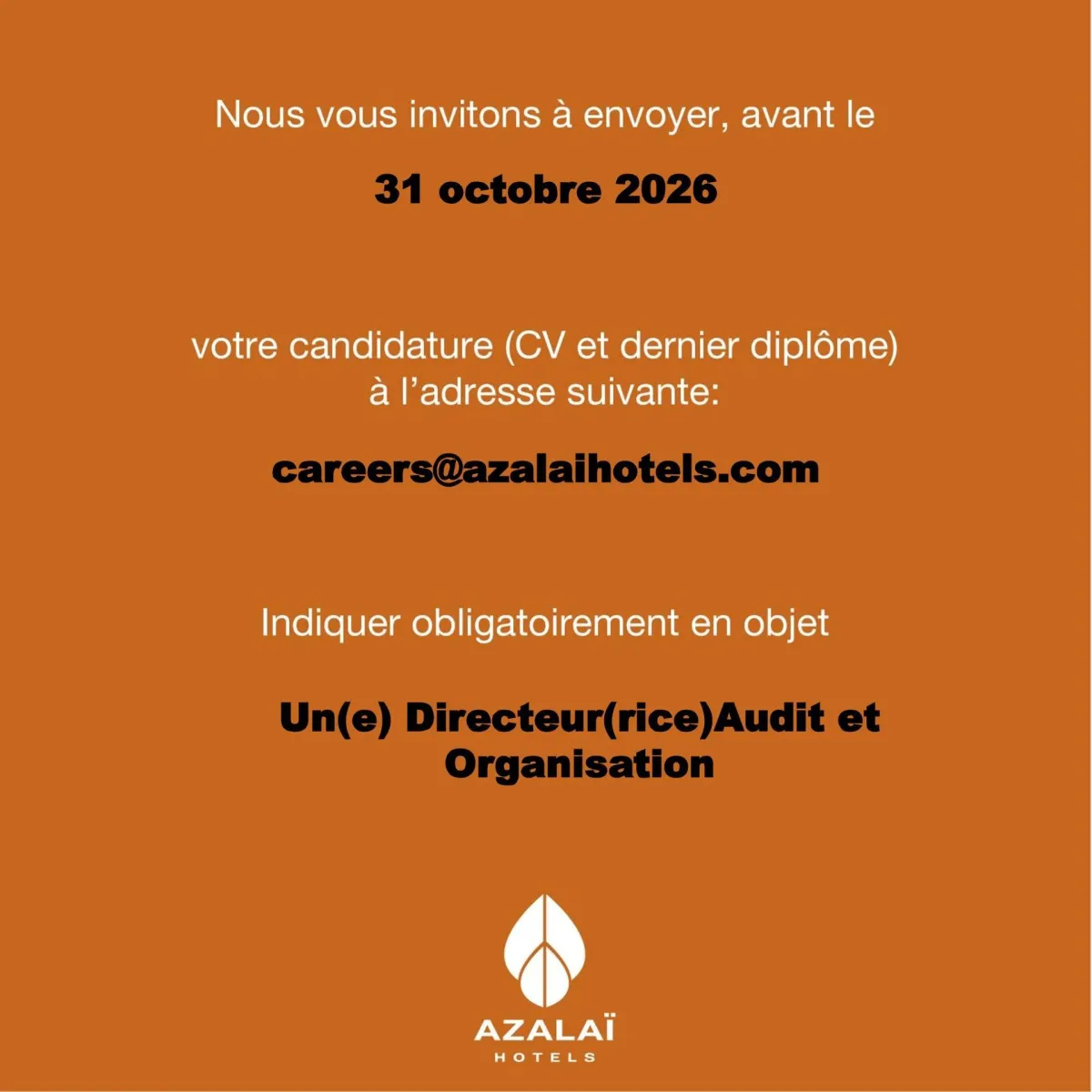 RECRUTEMENT DIRECTEUR AUDIT ET ORGANISATION