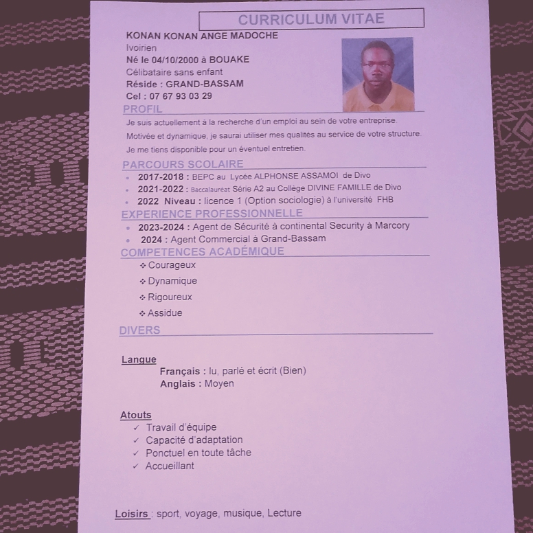 Profil candidat Konan Madoché - Travail en entreprise
