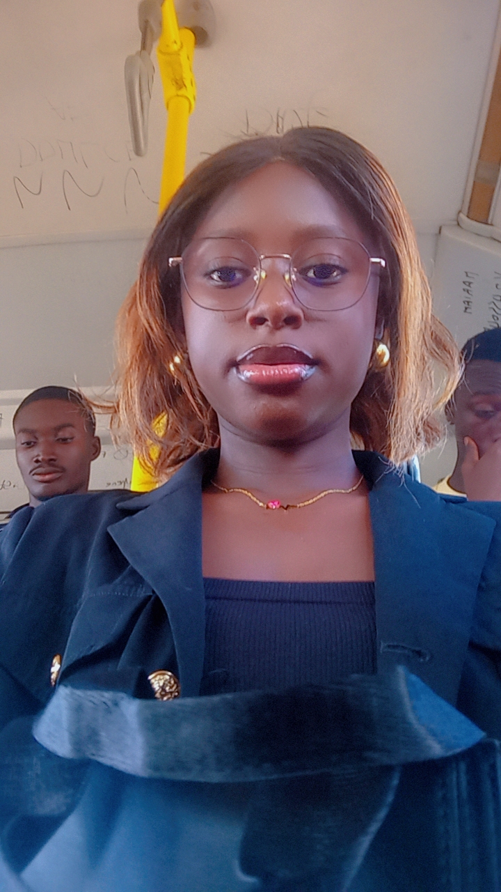 Profil candidat AMIEN N'GORAN TINA - Stage industrie agroalimentaire option production