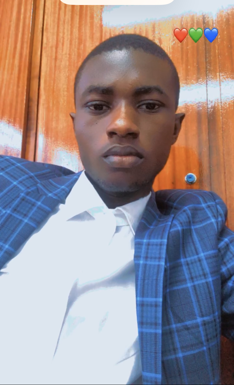 Profil candidat ALLOUCHI AWEKI VALENTIN - Logisticien (stage de perfectionnement)