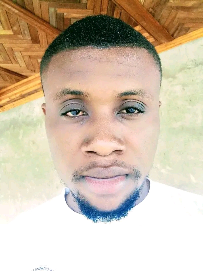 Profil candidat Diby Nguessan boris walter - Btp