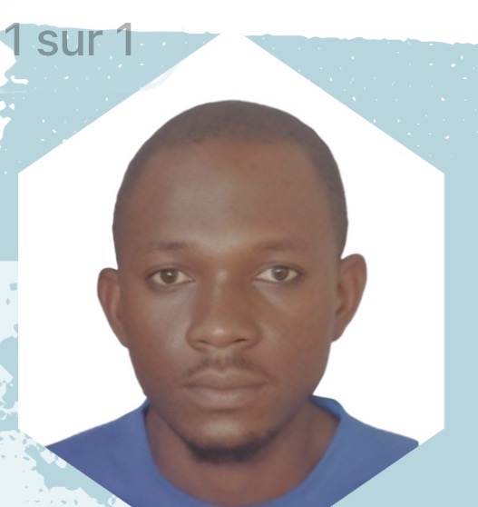 Profil candidat Barry Mahamado - Dumper et benne et toupie