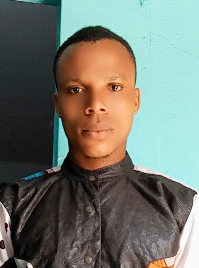 Profil candidat Siebo Franck - Informaticien
