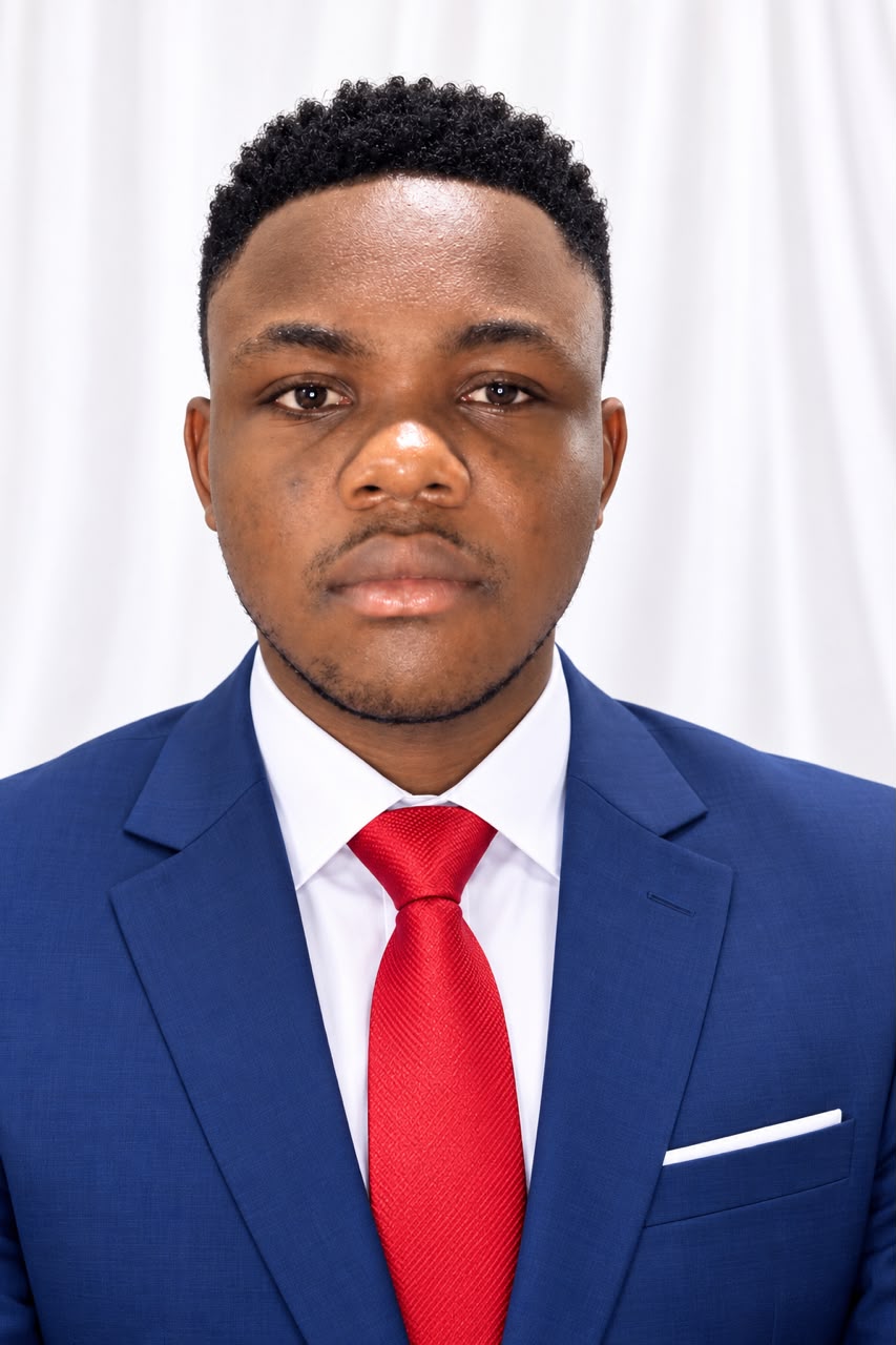 Profil candidat Blini Marc Elvis - Gestion de stock